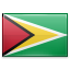 shiny Guyana icon